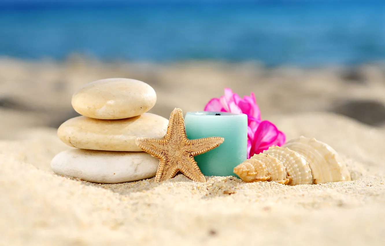 Фото обои песок, пляж, камни, ракушка, relax, beach, sand, спа