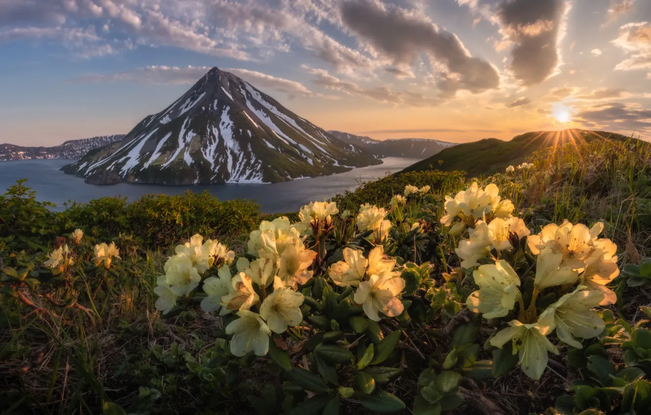 Фото обои цветы, горы, озеро, восход, рассвет, утро, вулкан, Россия