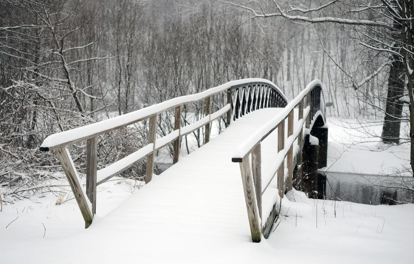 Фото обои холод, зима, деревья, мост, парк, заснеженный, Snowbound bridge