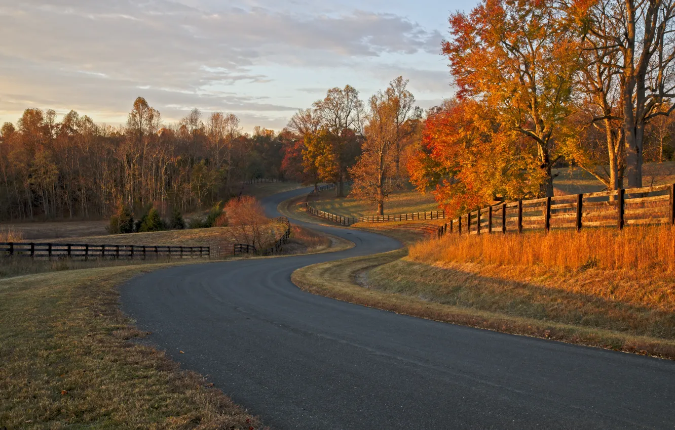 Фото обои дорога, осень, забор