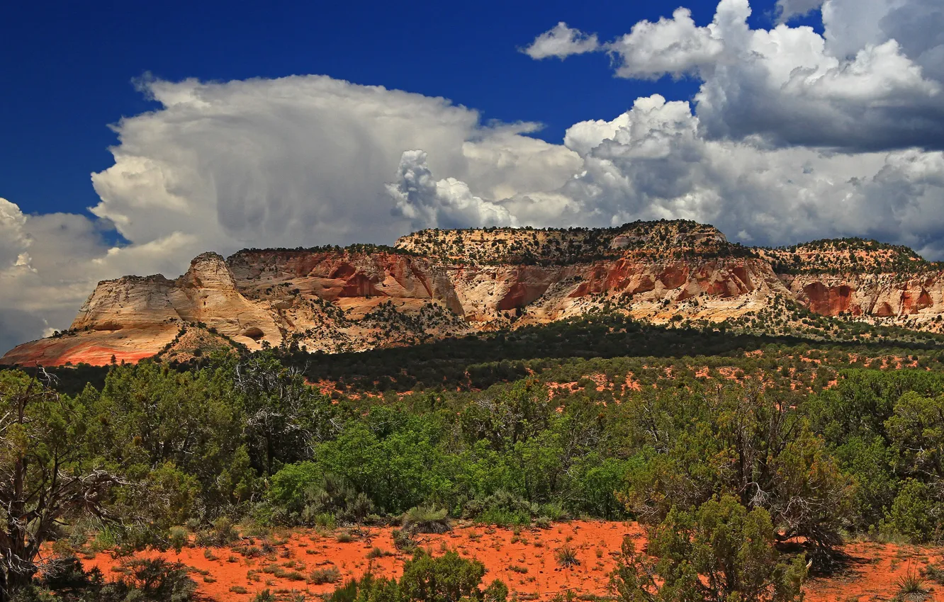 Фото обои горы, Юта, США, Grand Staircase-Escalante, National Monument