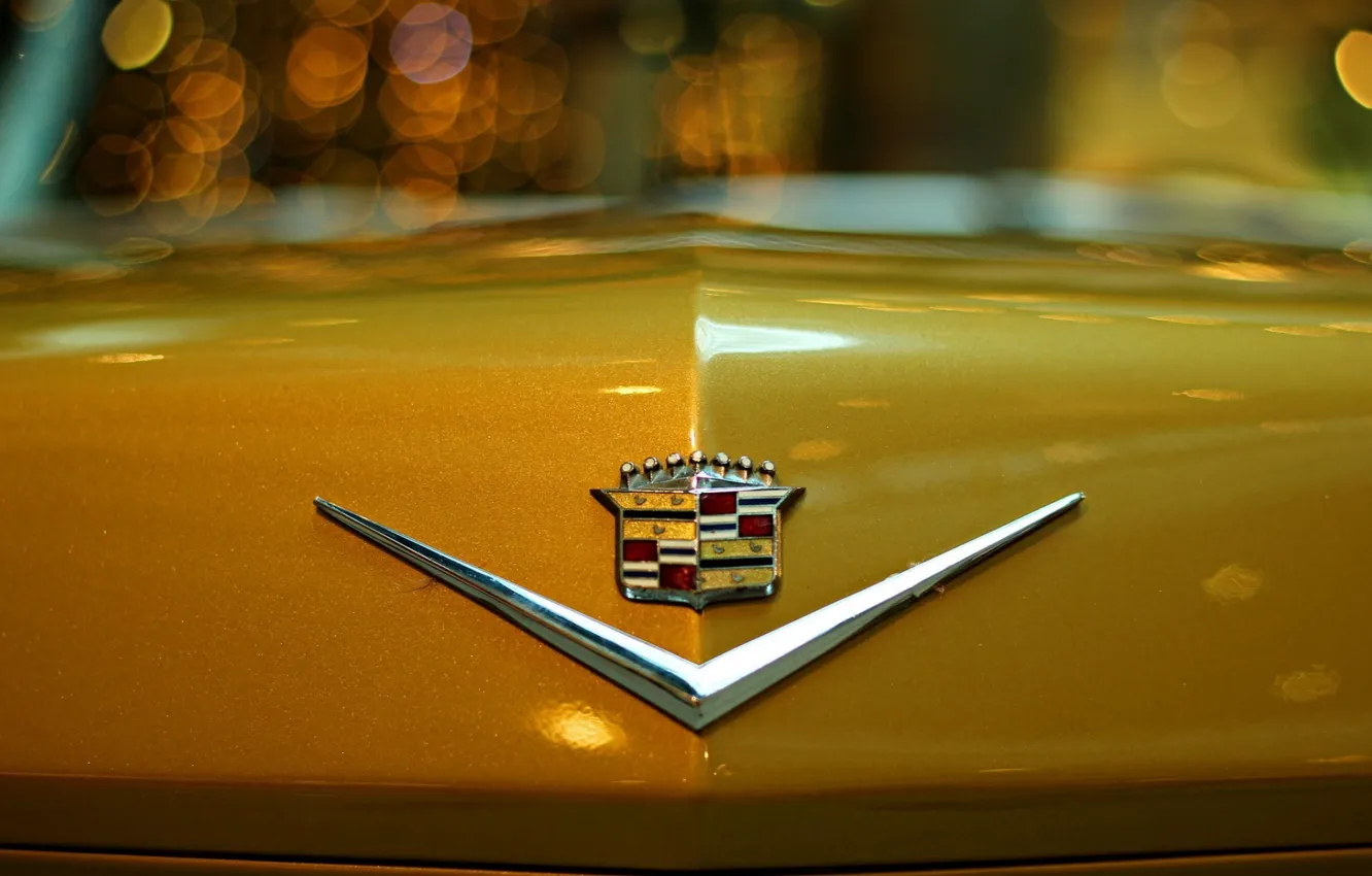 Фото обои Cadillac, капот, эмблема, Кадиллак