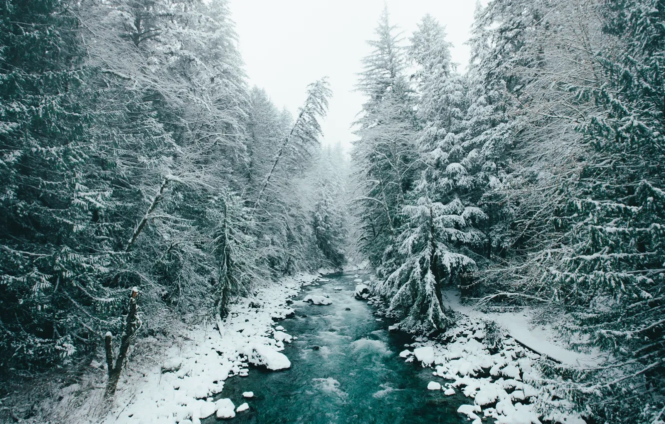 Фото обои зима, лес, снег, деревья, природа, река