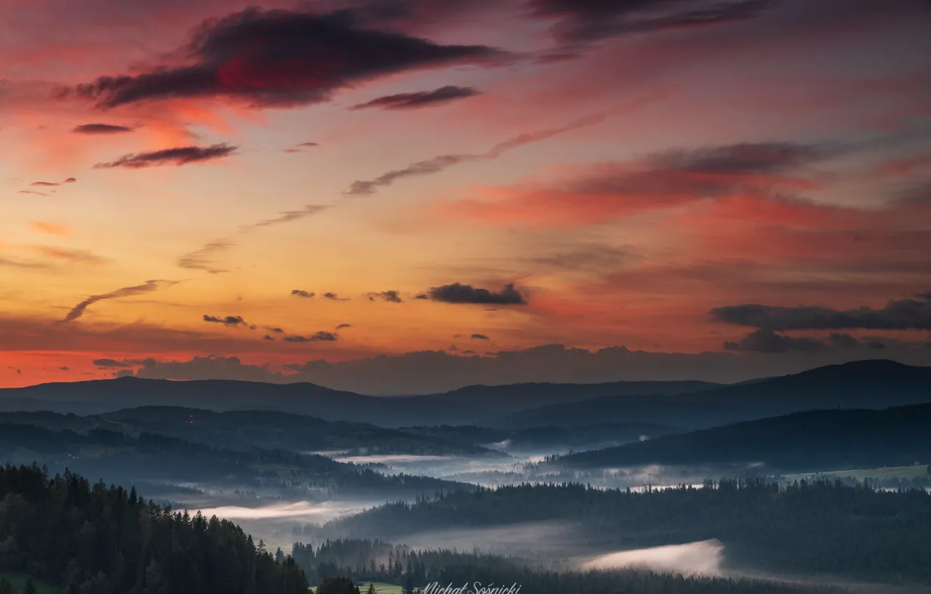 Фото обои лес, небо, закат, горы, Sośnicki Michał