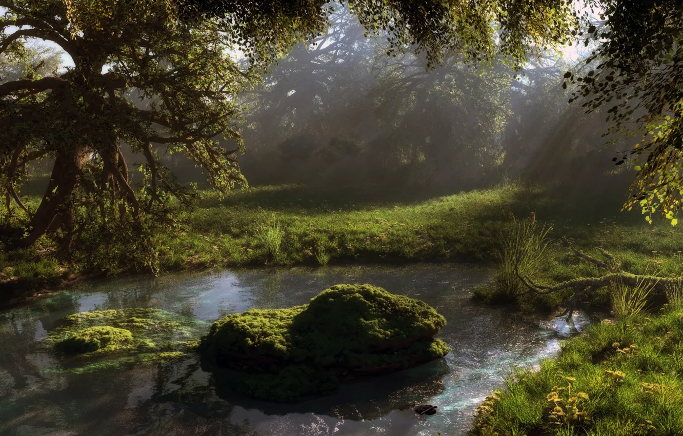 Фото обои лес, вода, природа, пруд, камни, листва, мох, арт
