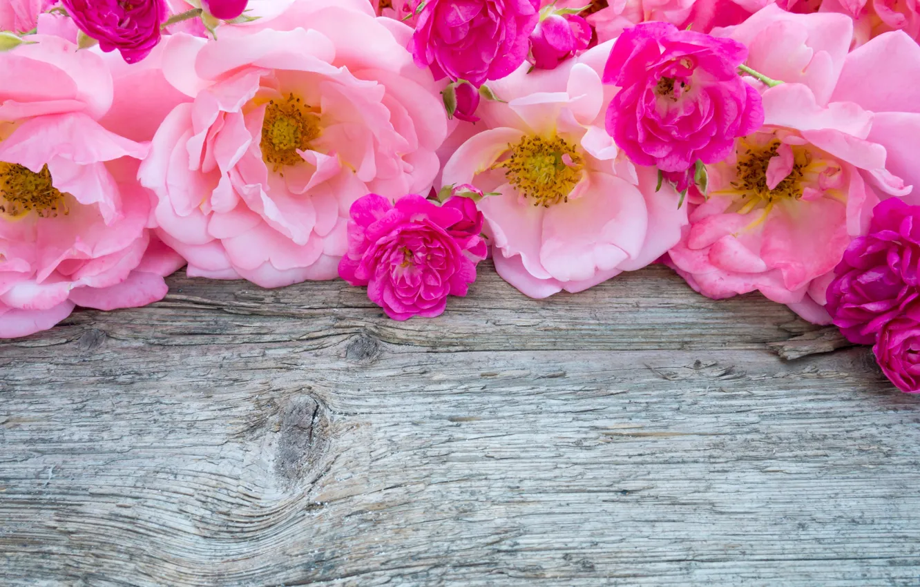Фото обои цветы, розовые, бутоны, wood, pink, flowers, bud