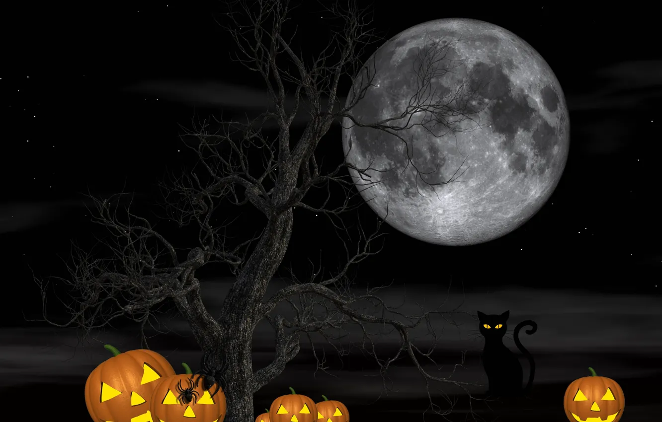 Фото обои кошка, ночь, дерево, луна, пауки, тыквы, Хэллоуин, 31 октября