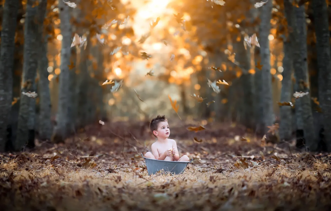 Фото обои осень, природа, мальчик