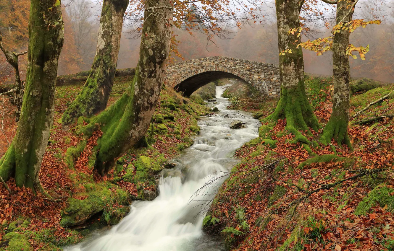 Фото обои осень, деревья, река, речка, Испания, Spain, каменный мост, Наварра