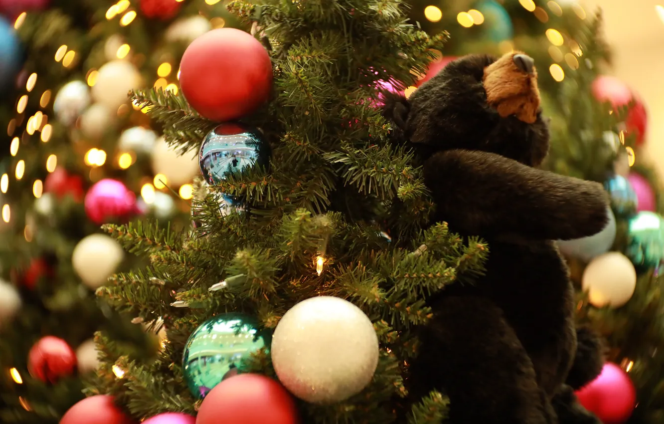 Фото обои шарики, ветки, огни, праздник, шары, игрушка, размытие, медведь