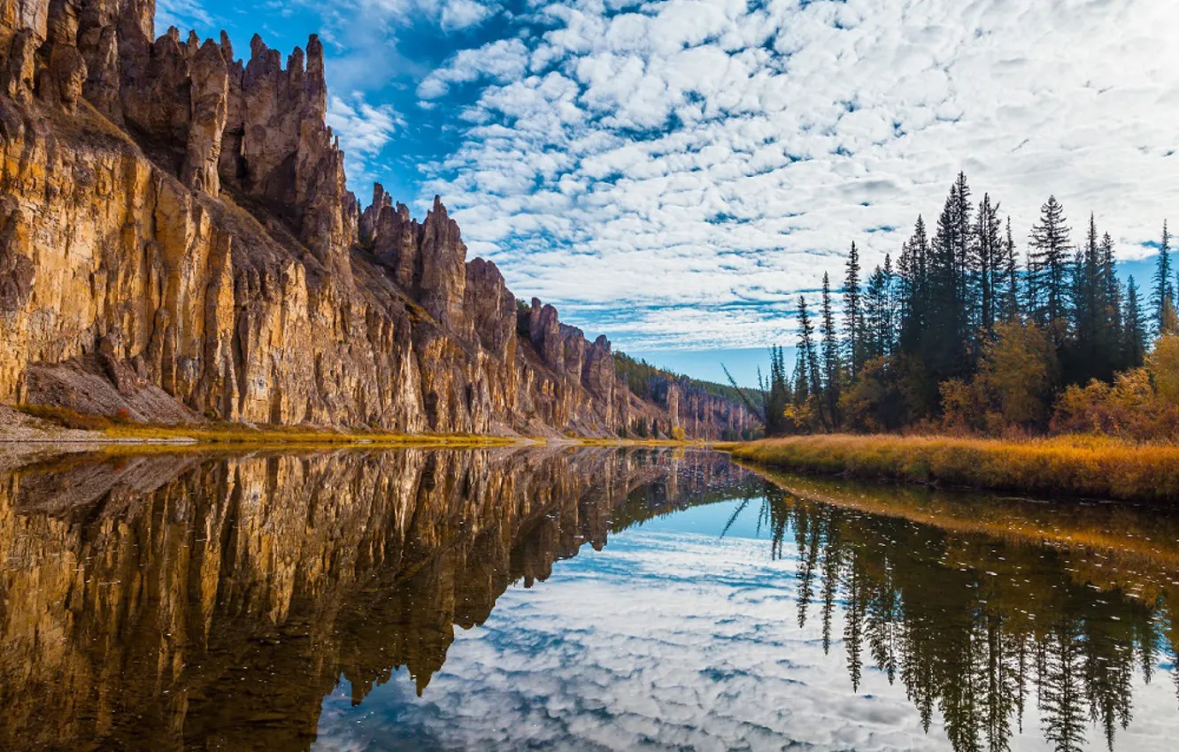 Фото обои river, landscape, Lena, taiga, Yakutia