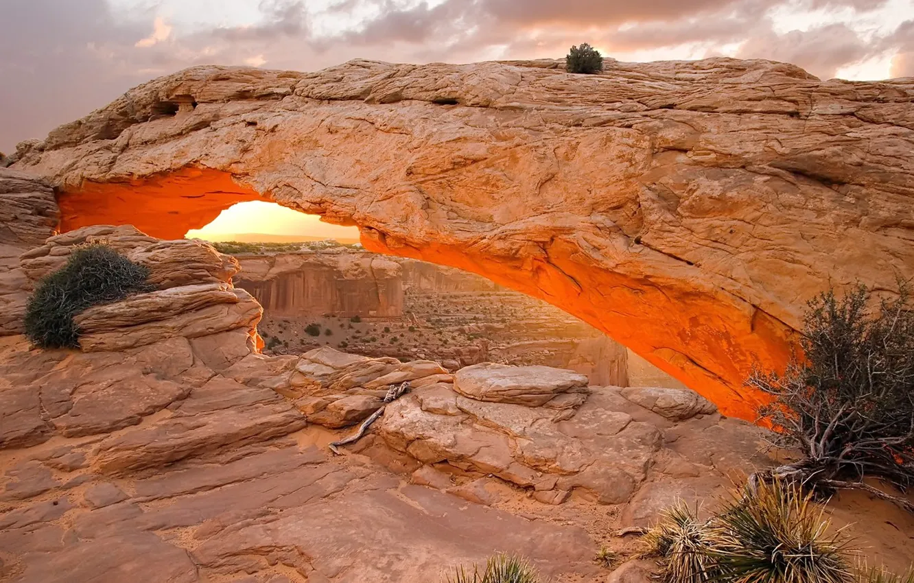 Фото обои каньон, арка, Mesa Arch