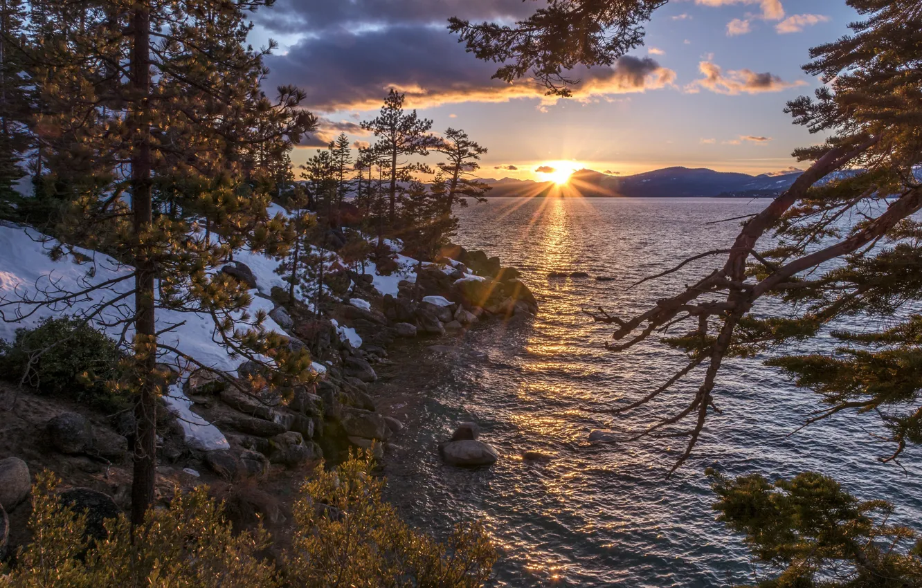 Фото обои снег, деревья, закат, озеро, Невада, Nevada, Lake Tahoe, озеро Тахо