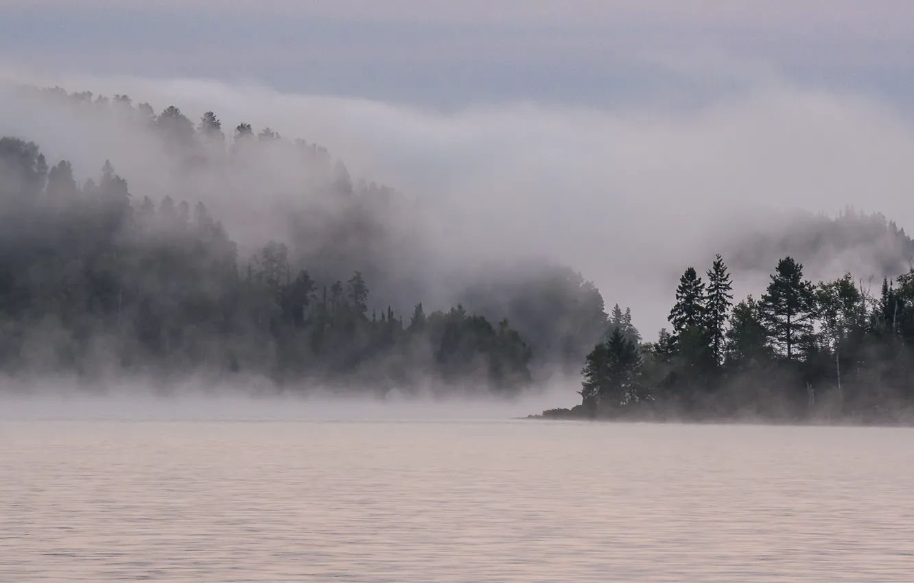 Фото обои деревья, туман, мистика, водоем