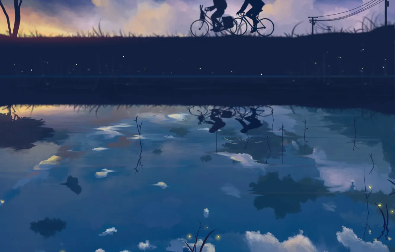 Фото обои небо, девушка, звезды, облака, велосипед, отражение, светлячки, провода