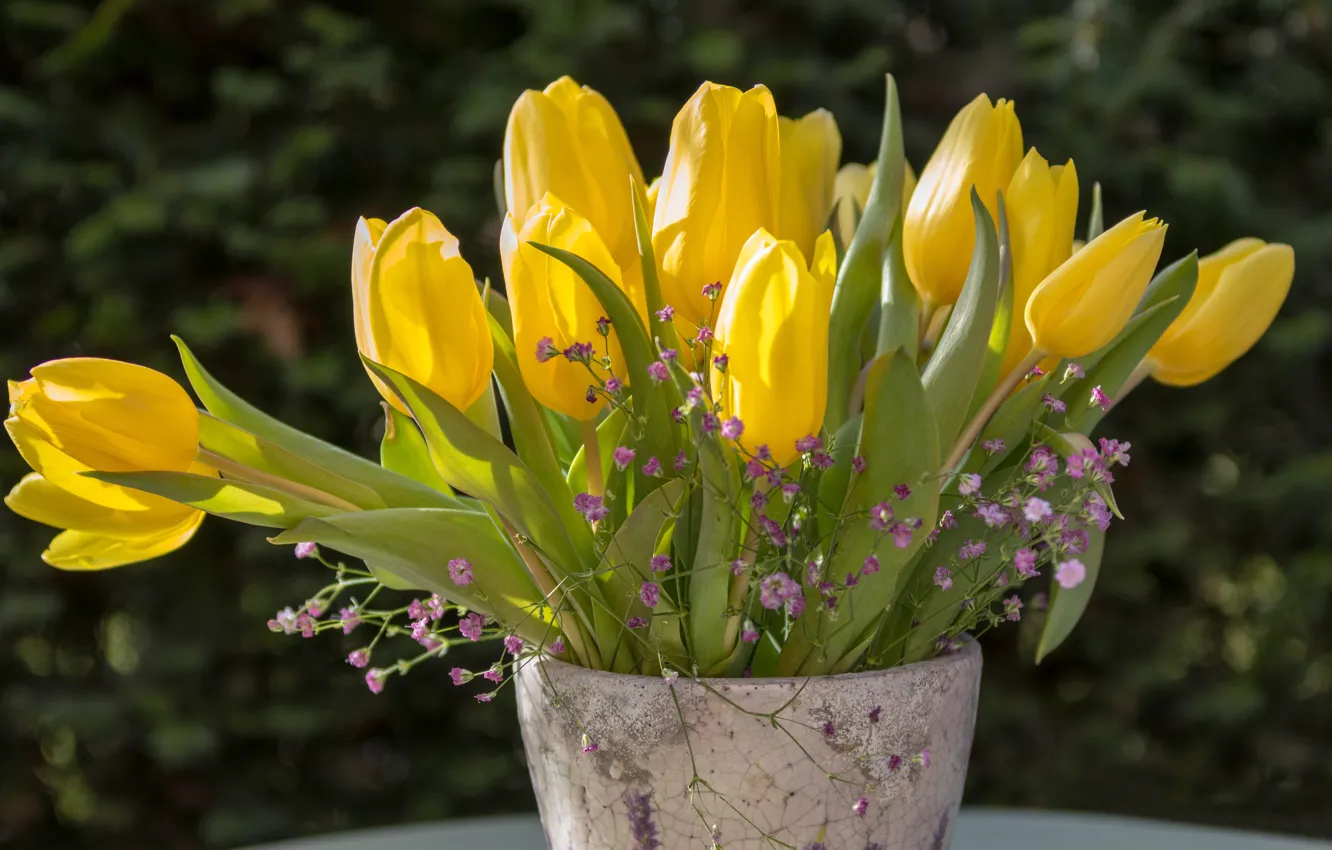 Фото обои букет, тюльпаны, ваза, бутоны, жёлтые тюльпаны, гипсофила