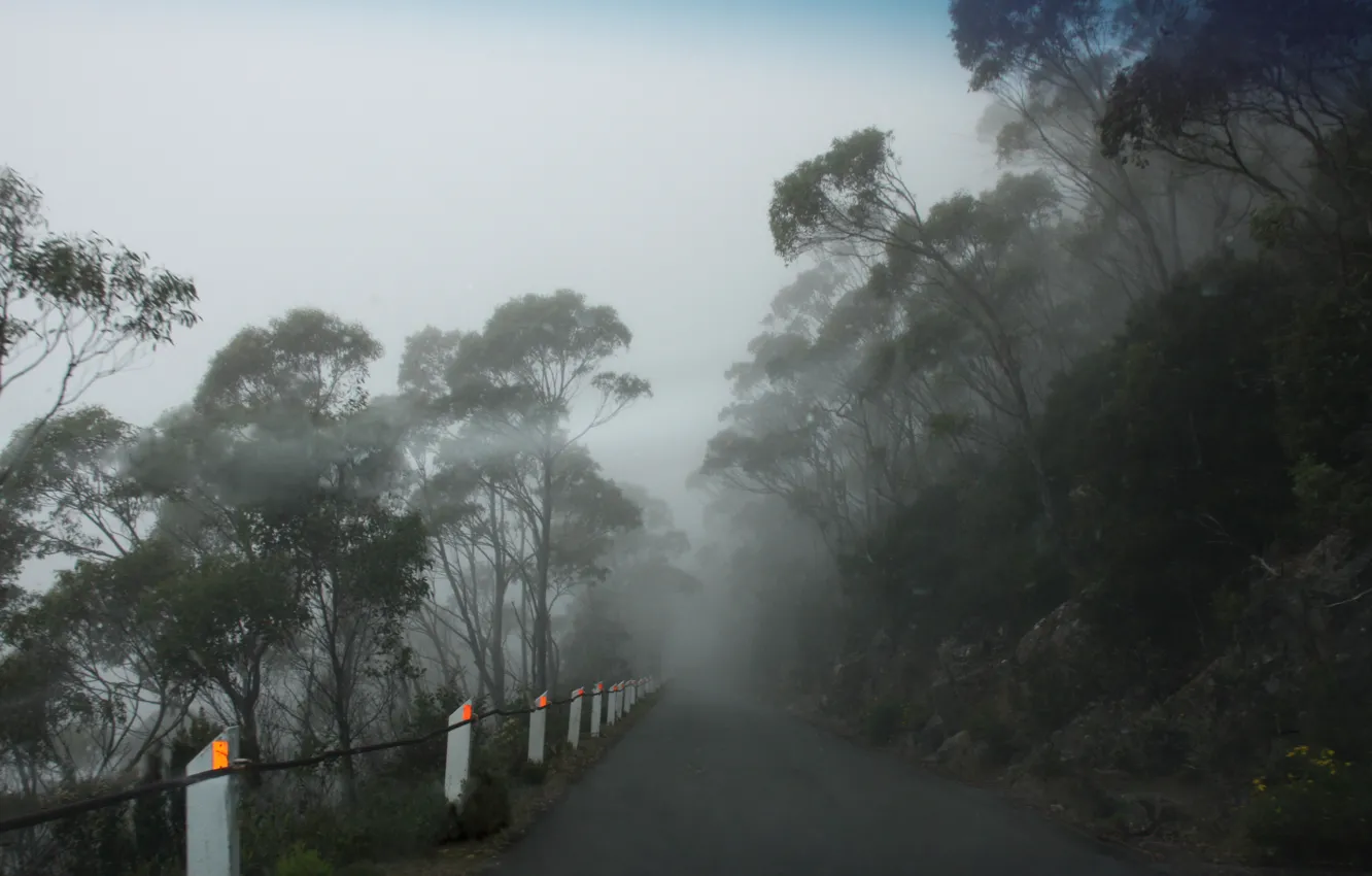 Фото обои Foggy road, Mt Wellington, Tasmania