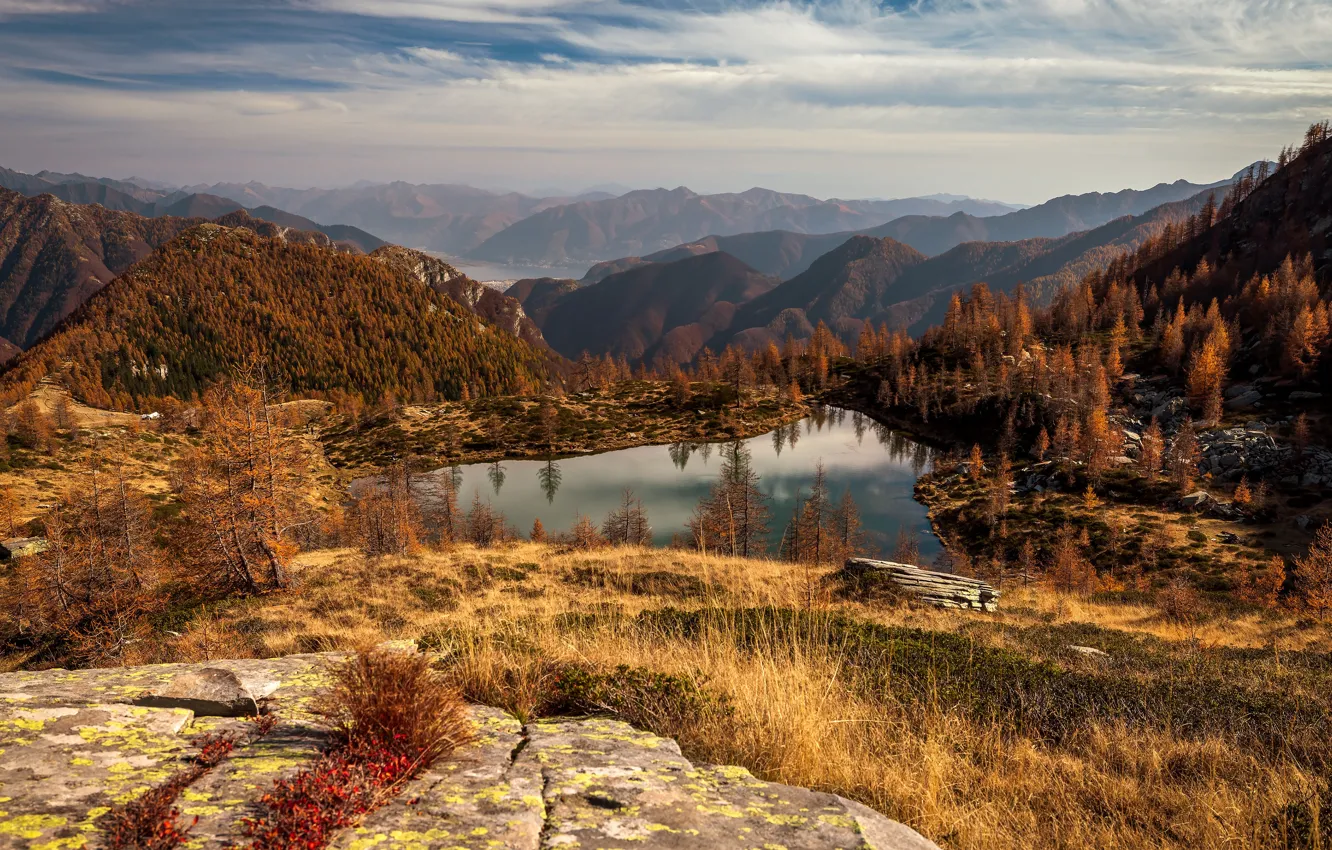 Фото обои осень, лес, горы, озеро, берег, вид, даль