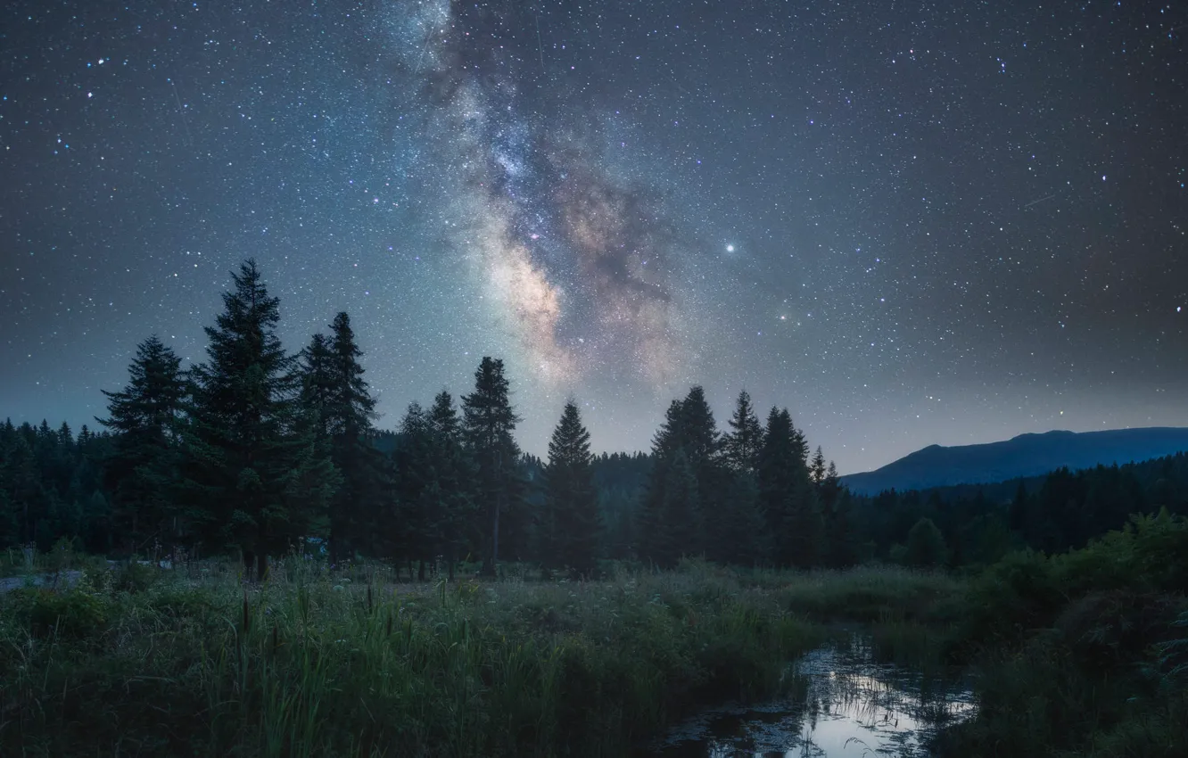 Фото обои лес, лето, небо, трава, космос, звезды, горы, ночь