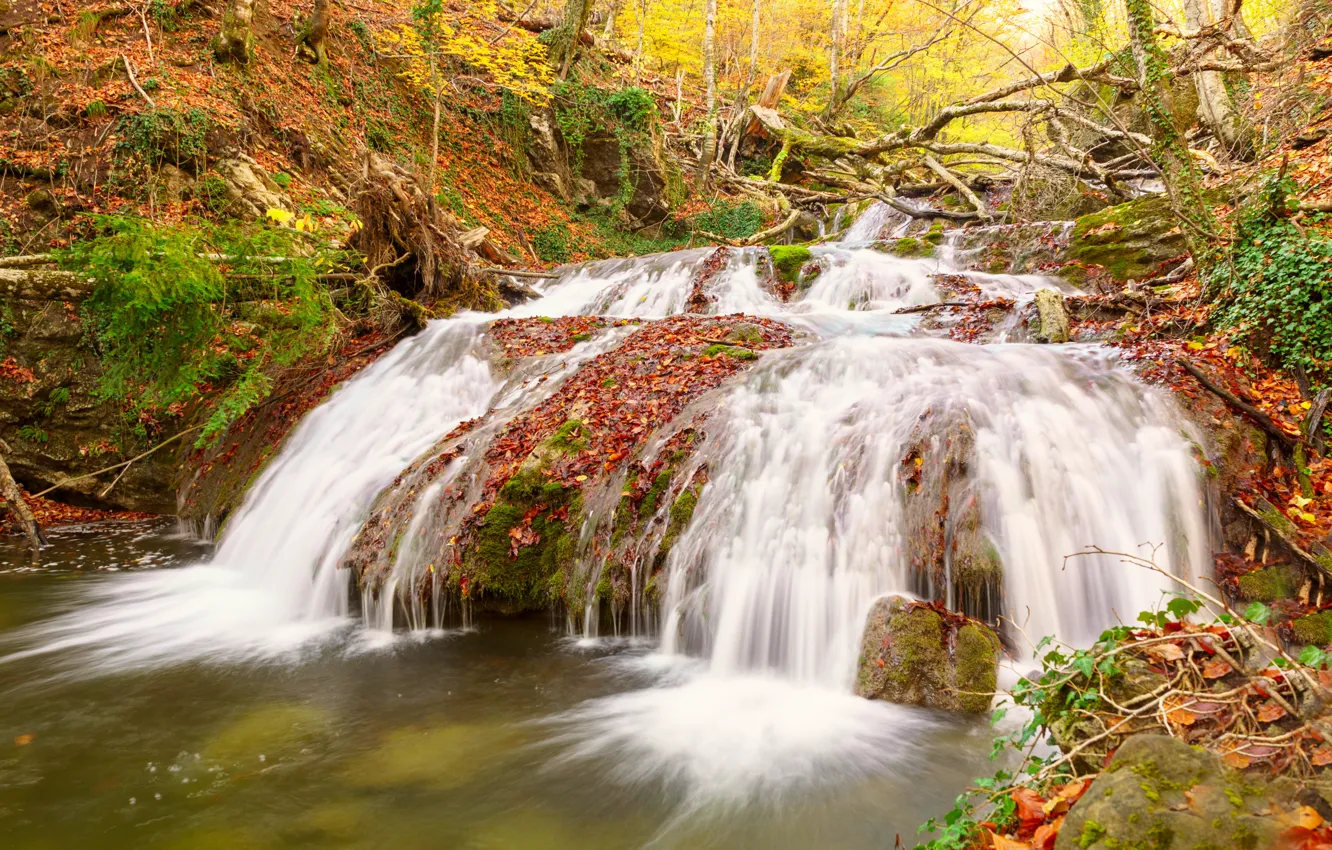 Фото обои осень, листья, водопад, colorful, nature, autumn, leaves, waterfall