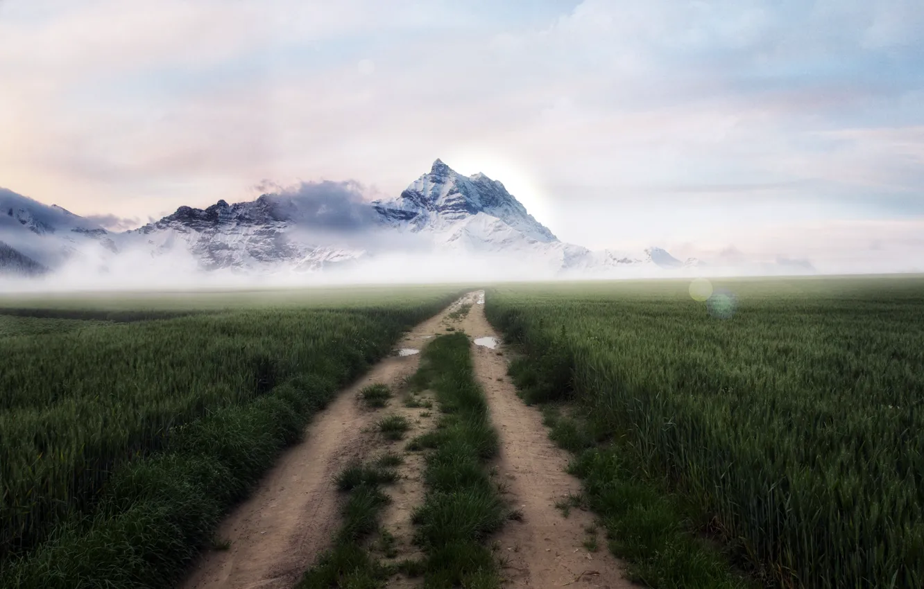 Фото обои дорога, поле, горы, туман