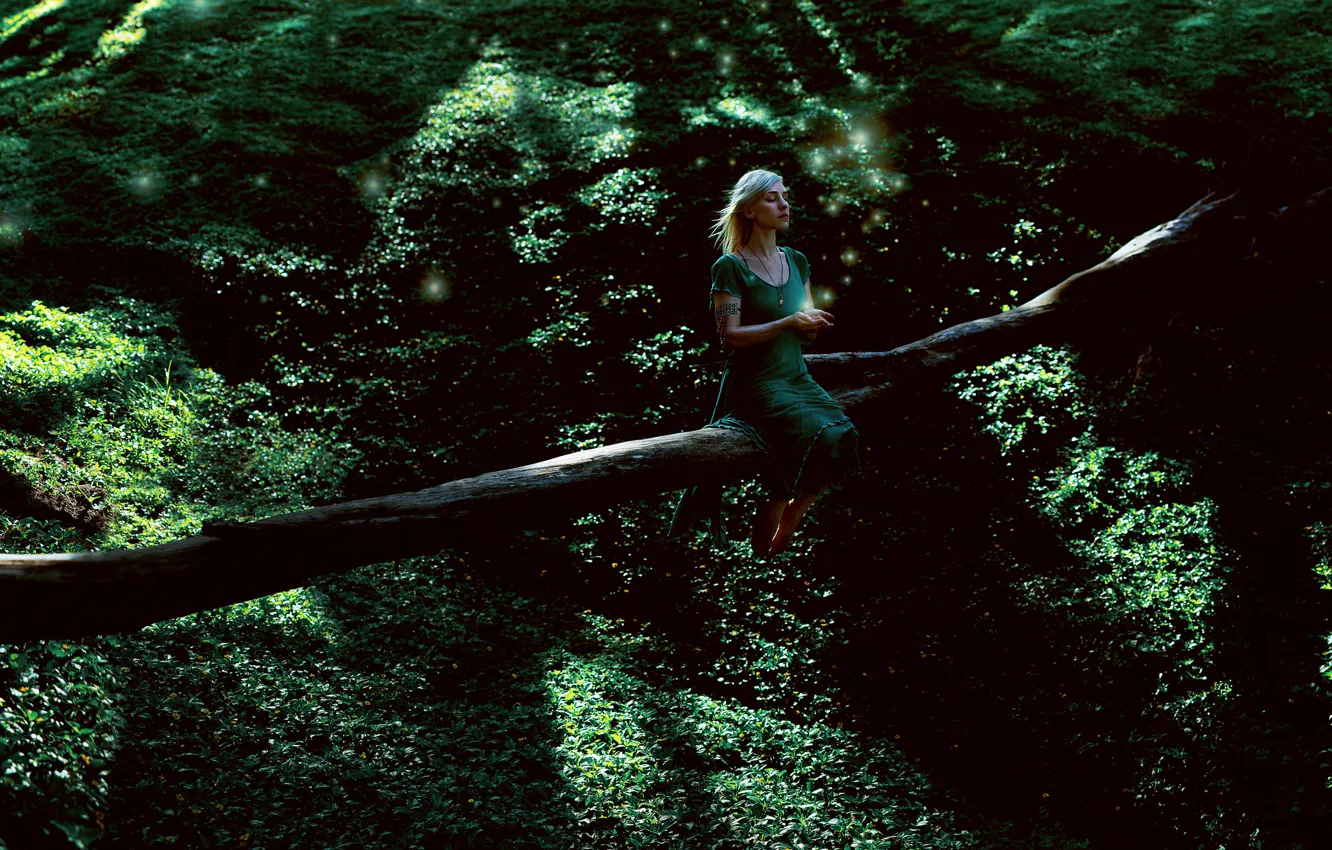 Фото обои зелень, лес, девушка, дерево, платье, sometimes