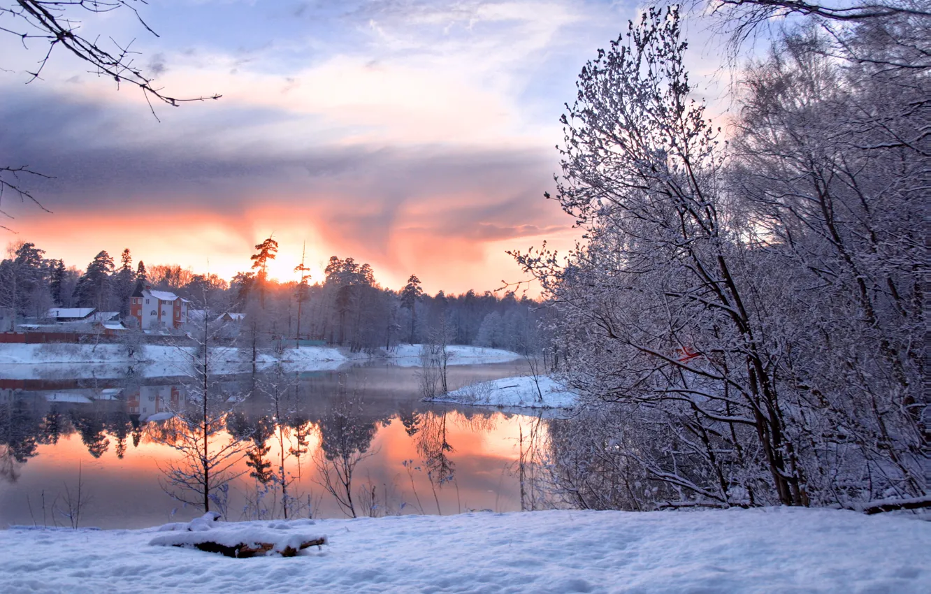 Фото обои холод, зима, лес, небо, облака, снег, деревья, пейзаж
