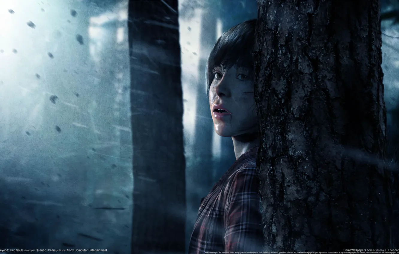 Фото обои лес, взгляд, девушка, деревья, страх, дождь, GameWallpapers, PS3