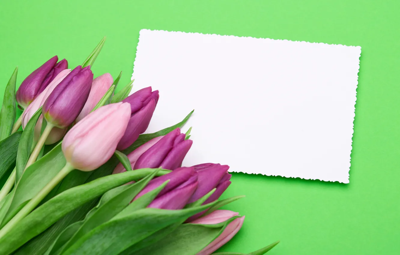 Фото обои букет, тюльпаны, розовые, fresh, pink, flowers, romantic, tulips