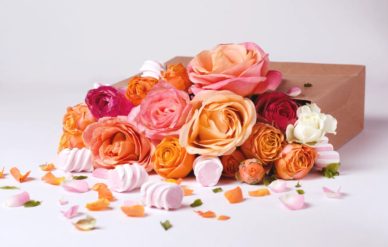 Фото обои цветы, коробка, розы, лепестки, бутоны