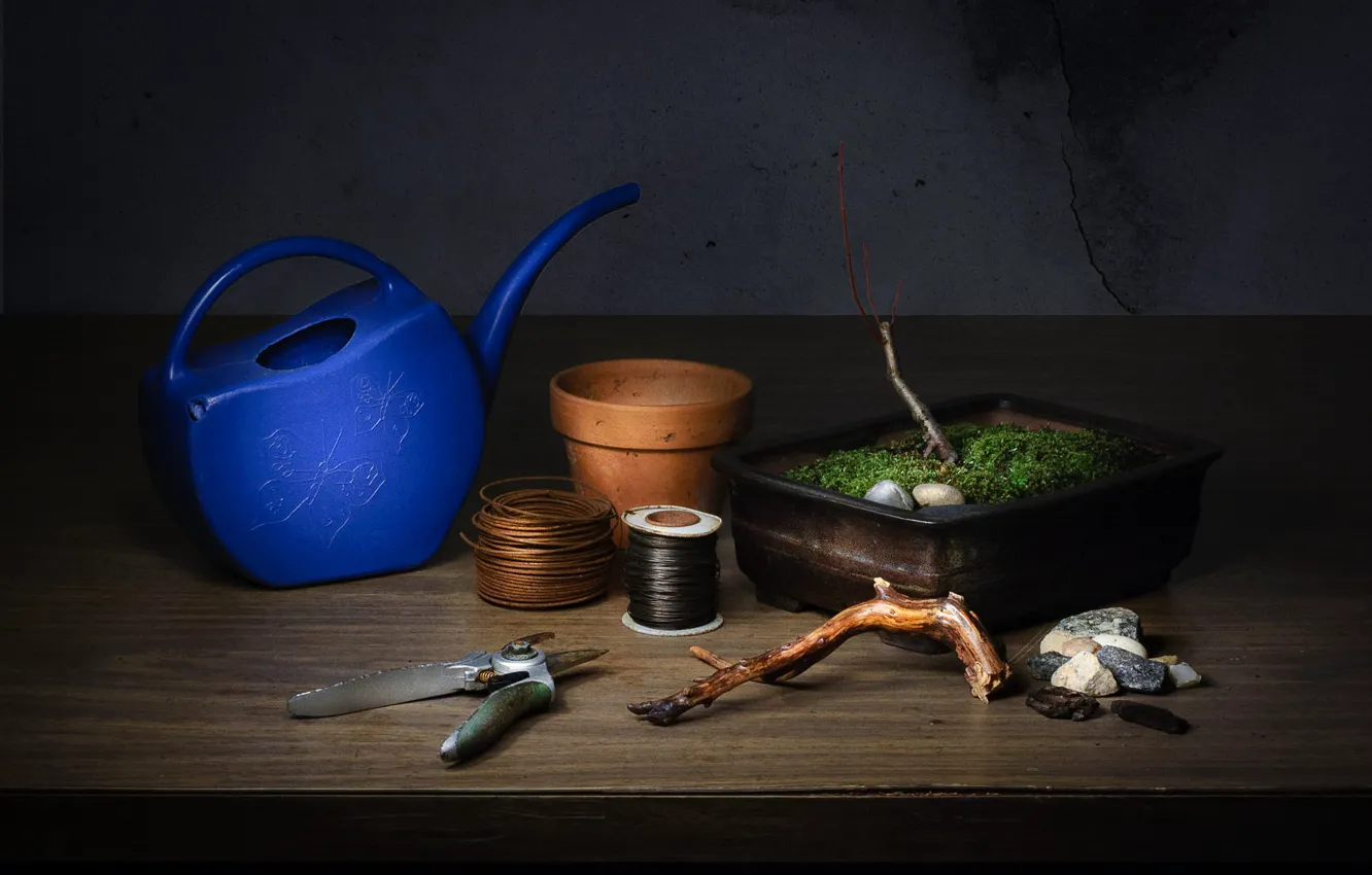 Фото обои стол, проволока, лейка, натюрморт, предметы