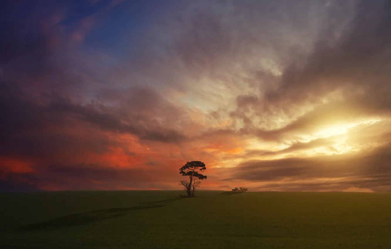 Фото обои поле, облака, закат, дерево, трактор, сосна