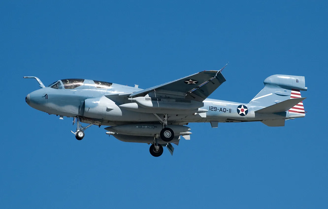 Фото обои самолёт, Grumman, Prowler, палубный, EA-6B