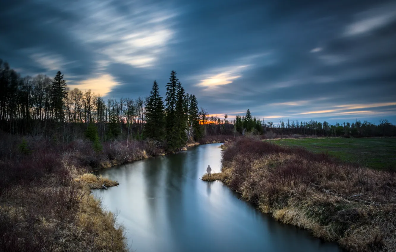 Фото обои трава, деревья, закат, вечер, Канада, речка, Alberta, Sturgeon County