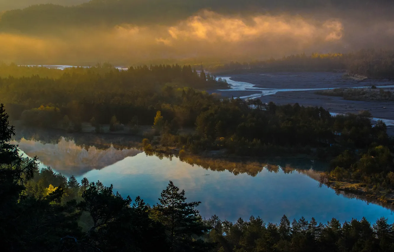 Фото обои лес, свет, туман, отражение, река, вид, утро, долина