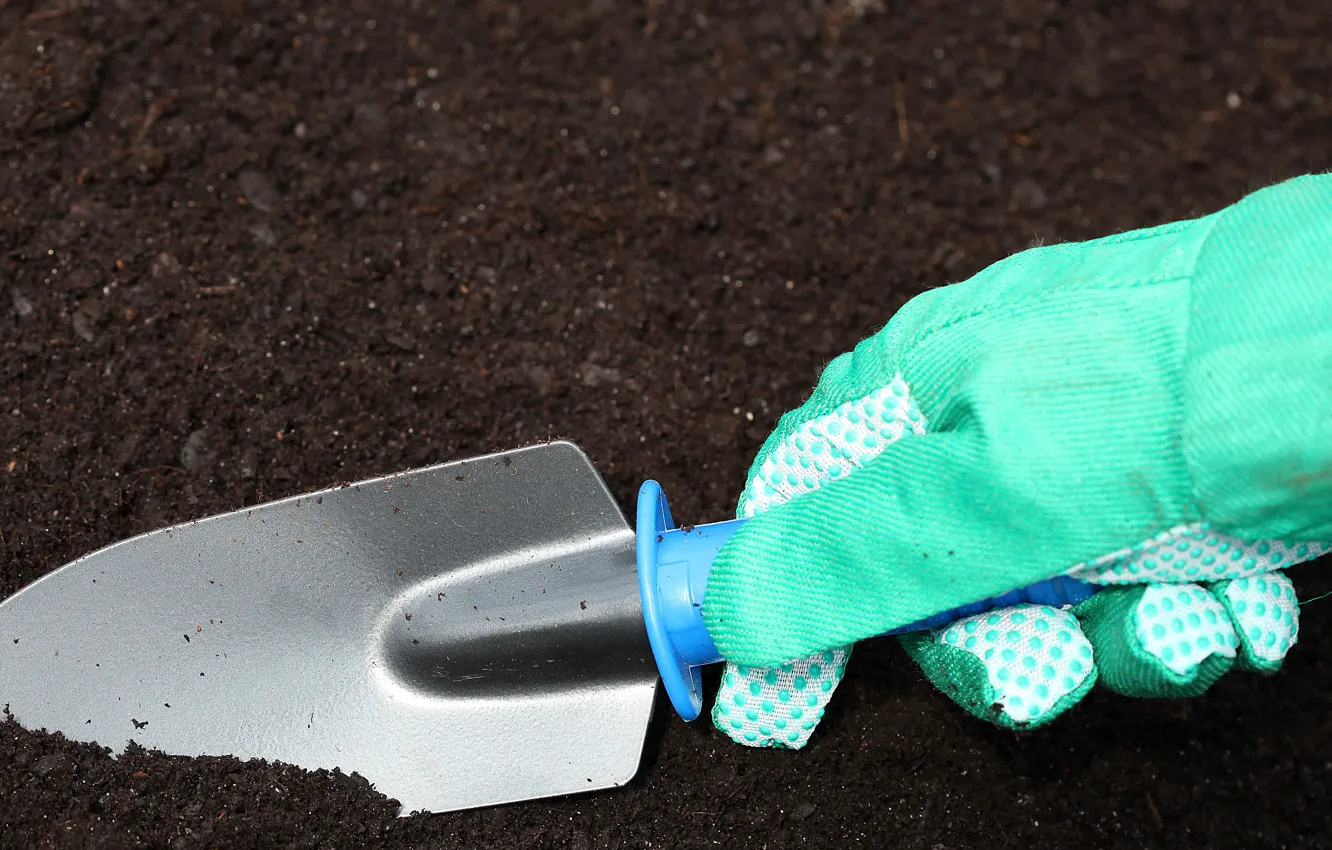 Фото обои earth, hand, gloves, shovel, gardening