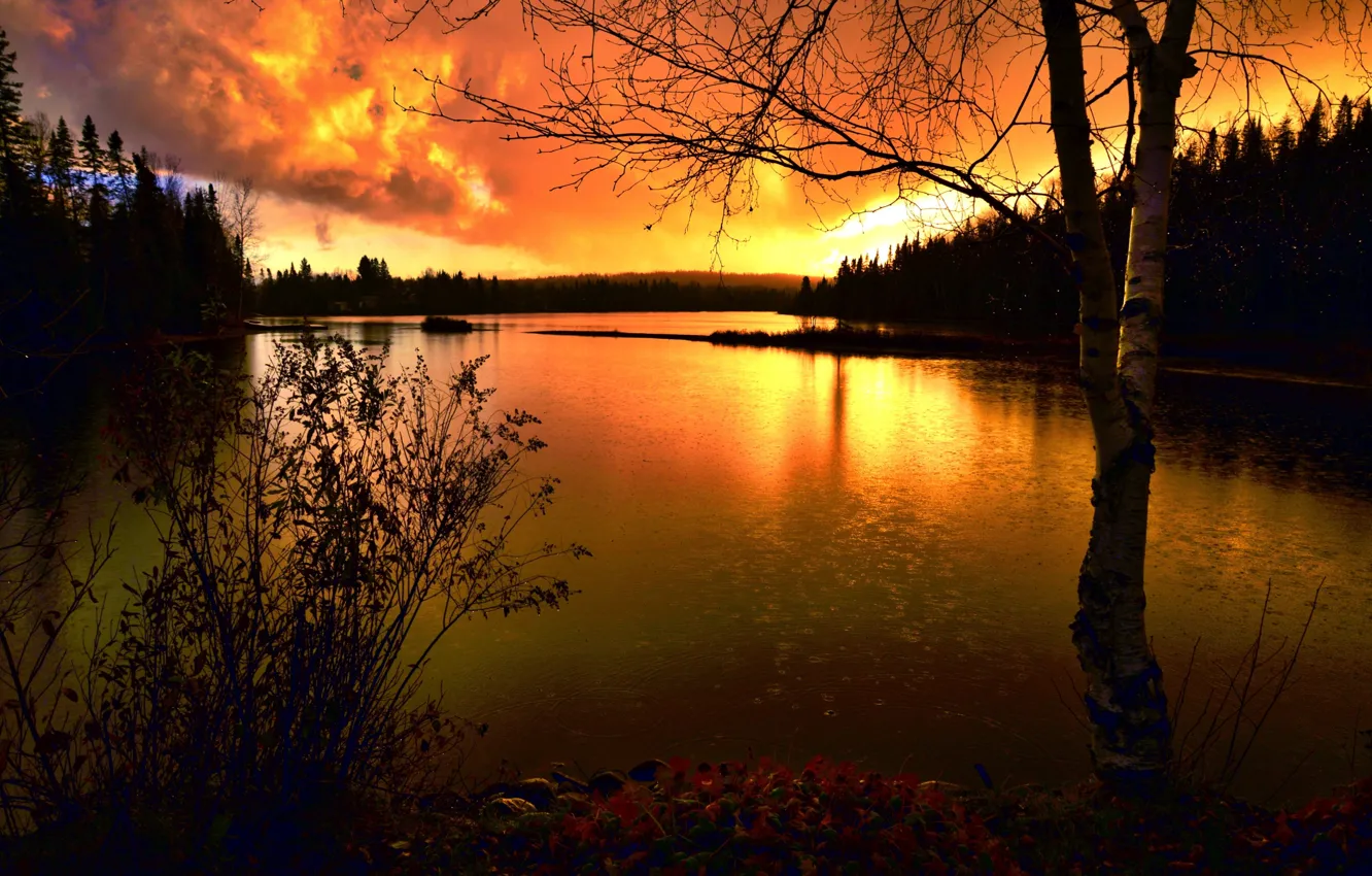Фото обои деревья, пейзаж, закат, природа, озеро, Канада, леса, Квебек