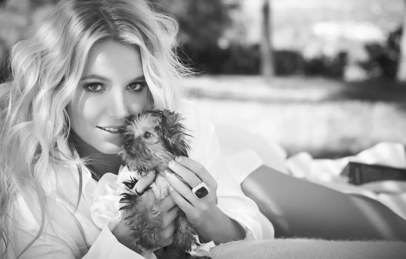 Фото обои поза, блондинка, щенок, певица, Britney Spears, Бритни Спирс