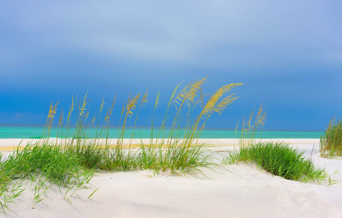 Фото обои USA, Florida, Gulf of Mexico Beach