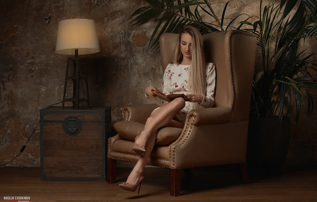 Фото обои девушка, long hair, dress, model, blonde, lamp, armchair, plants