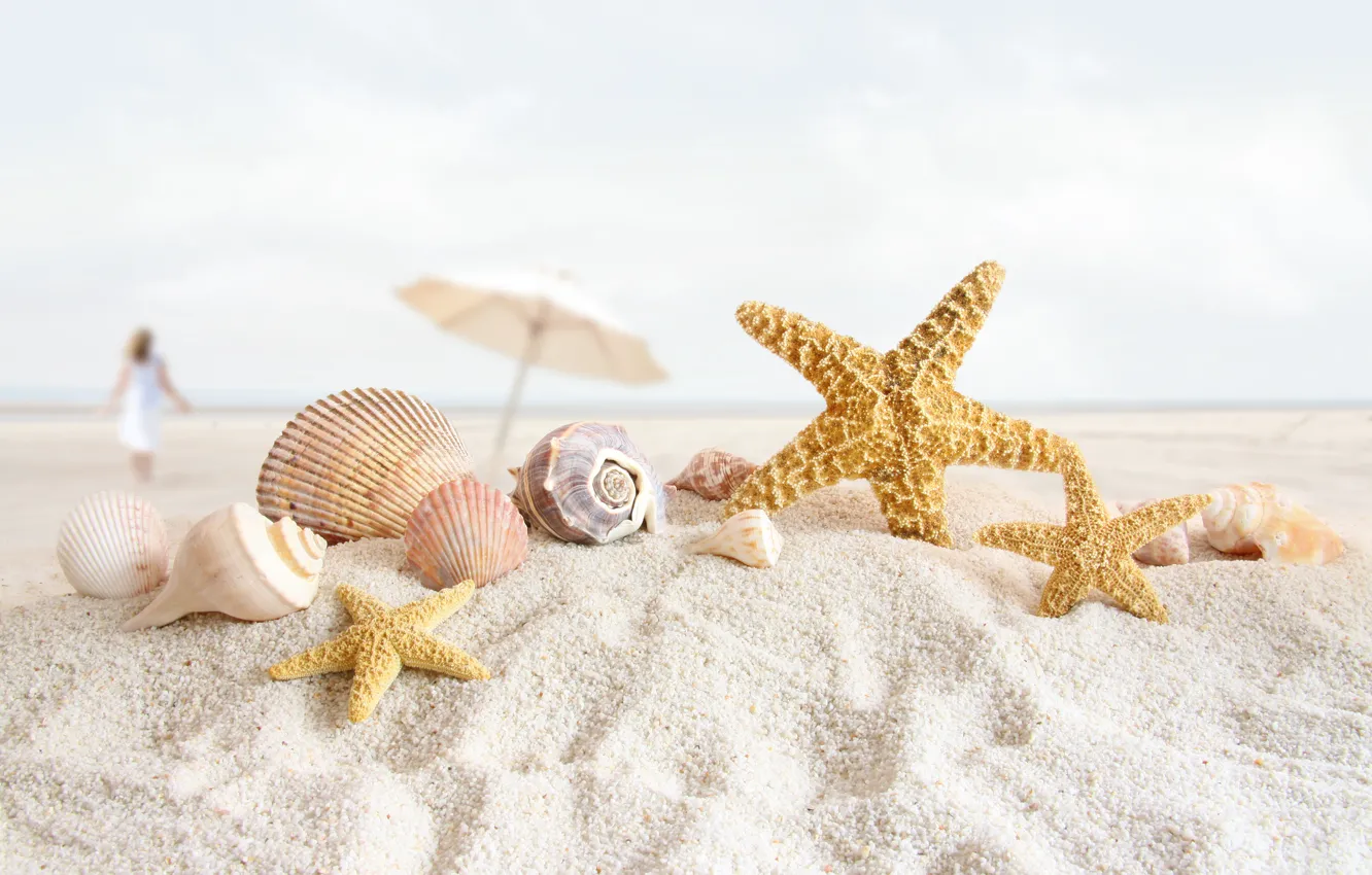 Фото обои песок, пляж, ракушки, морская звезда, раковины