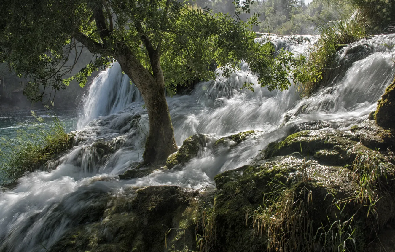 Фото обои деревья, природа, река, камни, водопад, поток