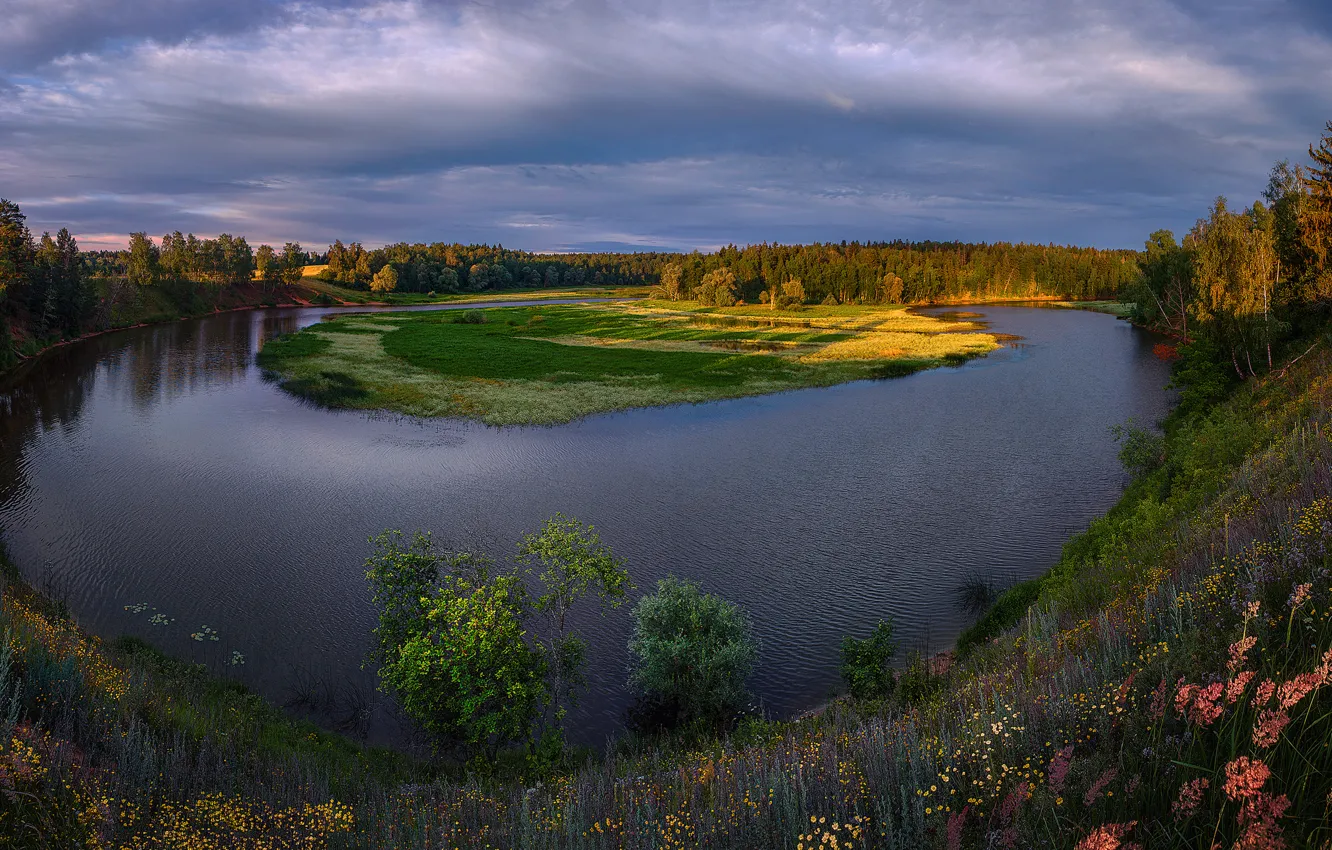 Фото обои лес, небо, трава, облака, деревья, цветы, река, берег