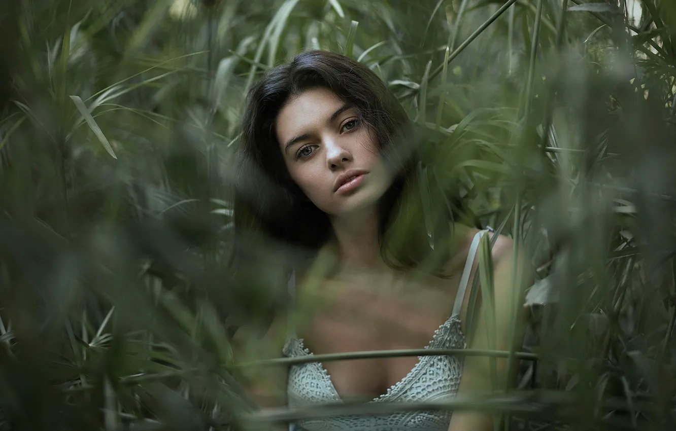 Фото обои зелень, поле, взгляд, девушка, лицо, настроение, кукуруза, Claudia Guerrero Pascual