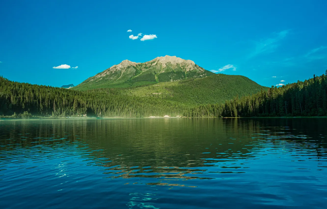 Фото обои лес, лето, вода, облака, горы, озеро, отражение, синева