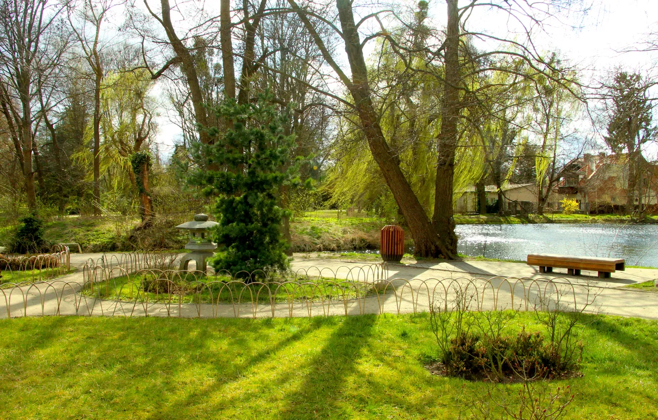 Фото обои grass, trees, park, alley