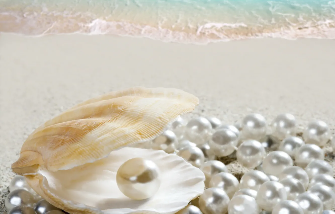 Фото обои песок, море, пляж, ракушка, beach, sea, sand, shore