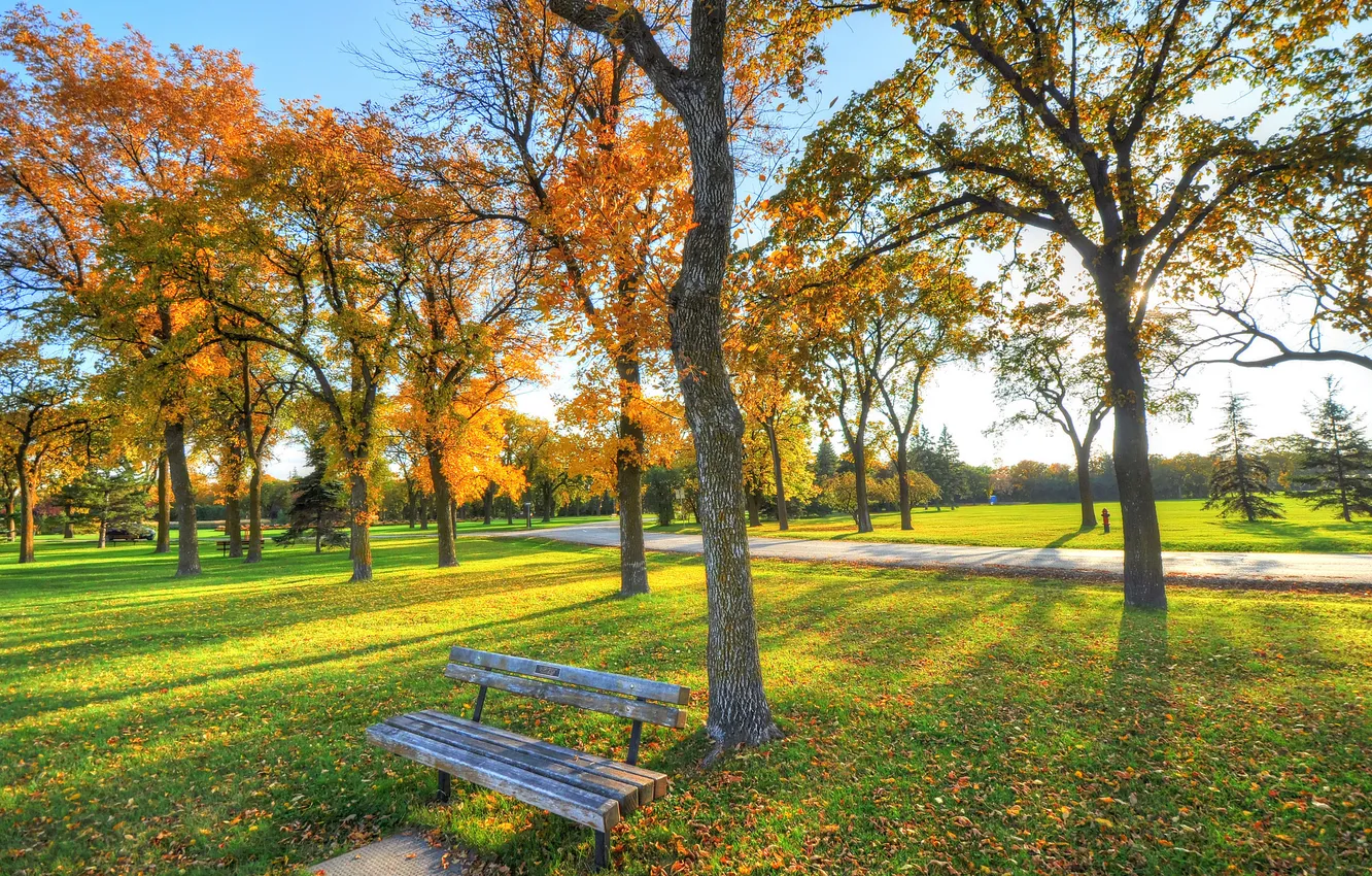 Фото обои осень, небо, трава, деревья, парк, дорожка, скамья