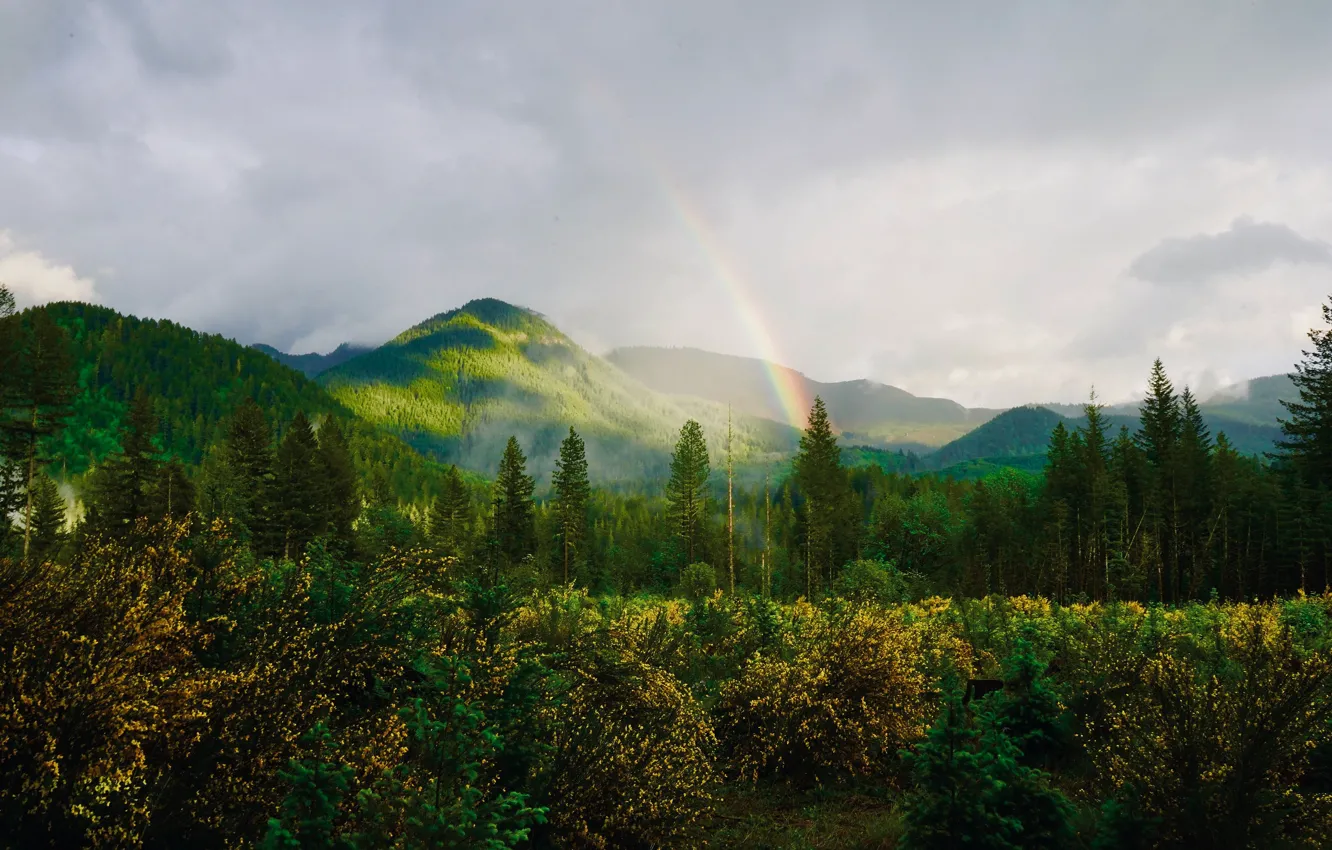 Фото обои облака, горы, радуга, rainbow, леса, nature, mountains, луга