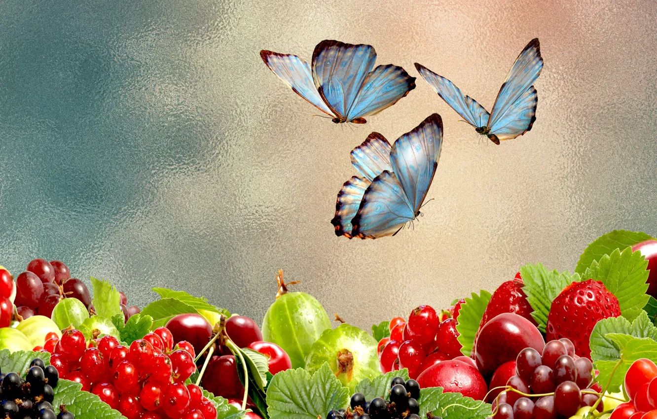 Фото обои ягоды, настроение, бабочка, обои на рабочий стол